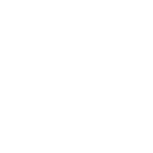 EVOM - VEIGH MERCH OFICIAL – EVOM MERCH